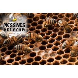 Messines Bee Farm Local Honeycomb 150g