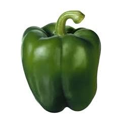 Capsicum Green each