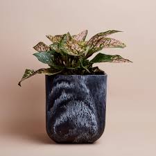 Saarde Resin Paper Bin/Planter - Ash Black