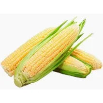 Corn Cob Sweet / ea