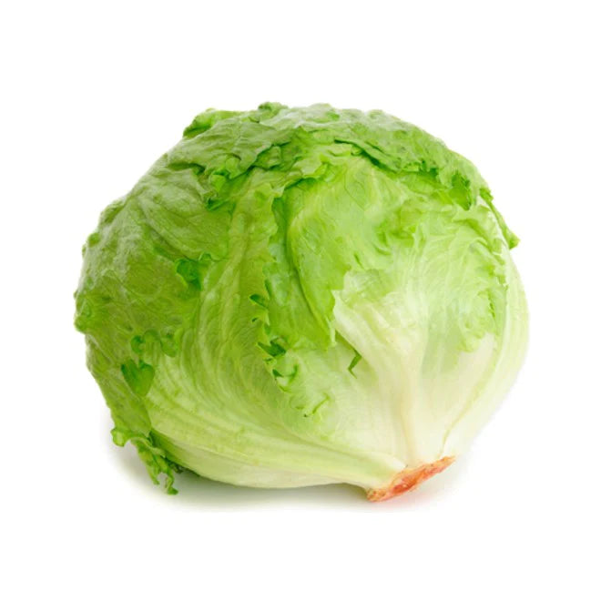 Lettuce Iceberg / ea